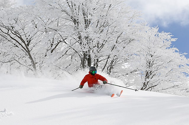 キューピットバレイ